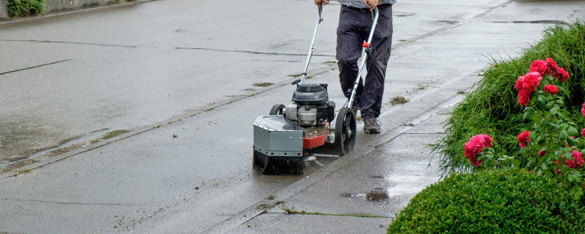 erco-wildkrautbuerste-header.jpg (1)